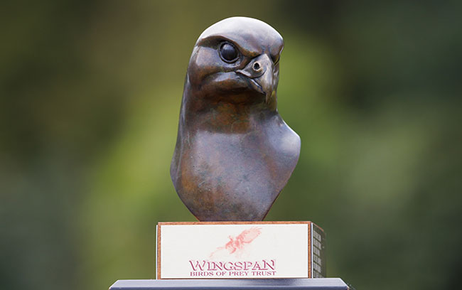 2025 Wingspan Raptor Conservation Award Colin Maunder