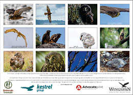 Wingspan bird of prey calendar 2026 back