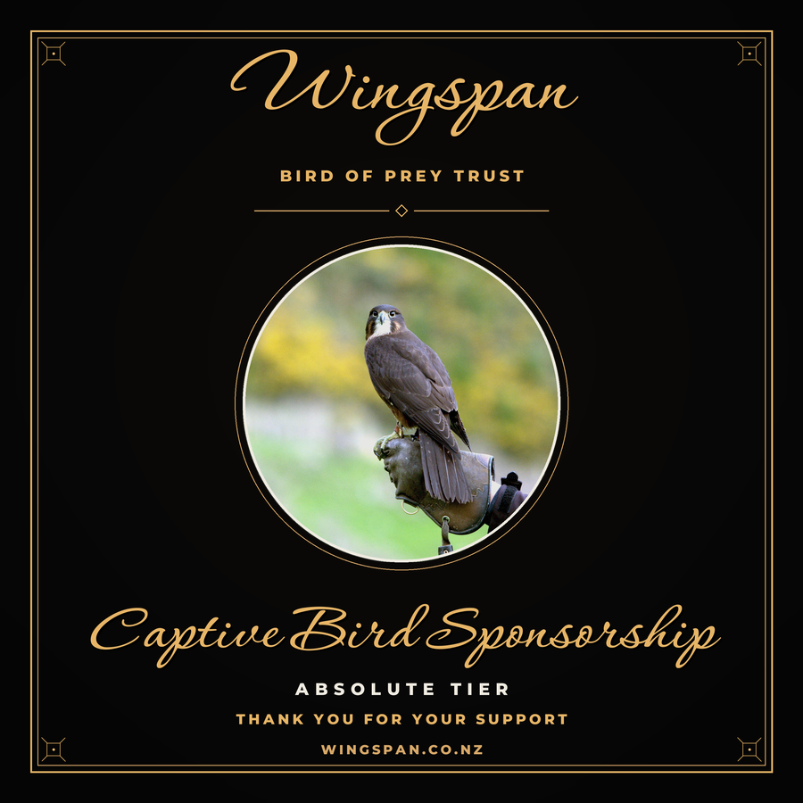Captive Bird Sponsorship, Absolute