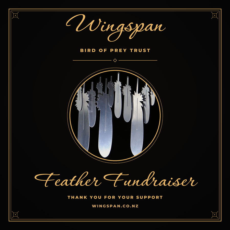 A Feather Fundraiser
