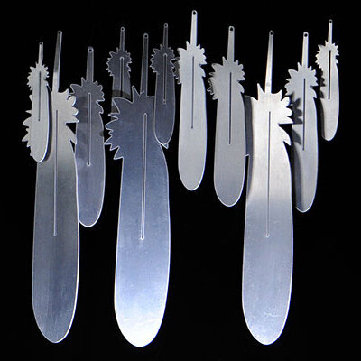 A Feather Fundraiser