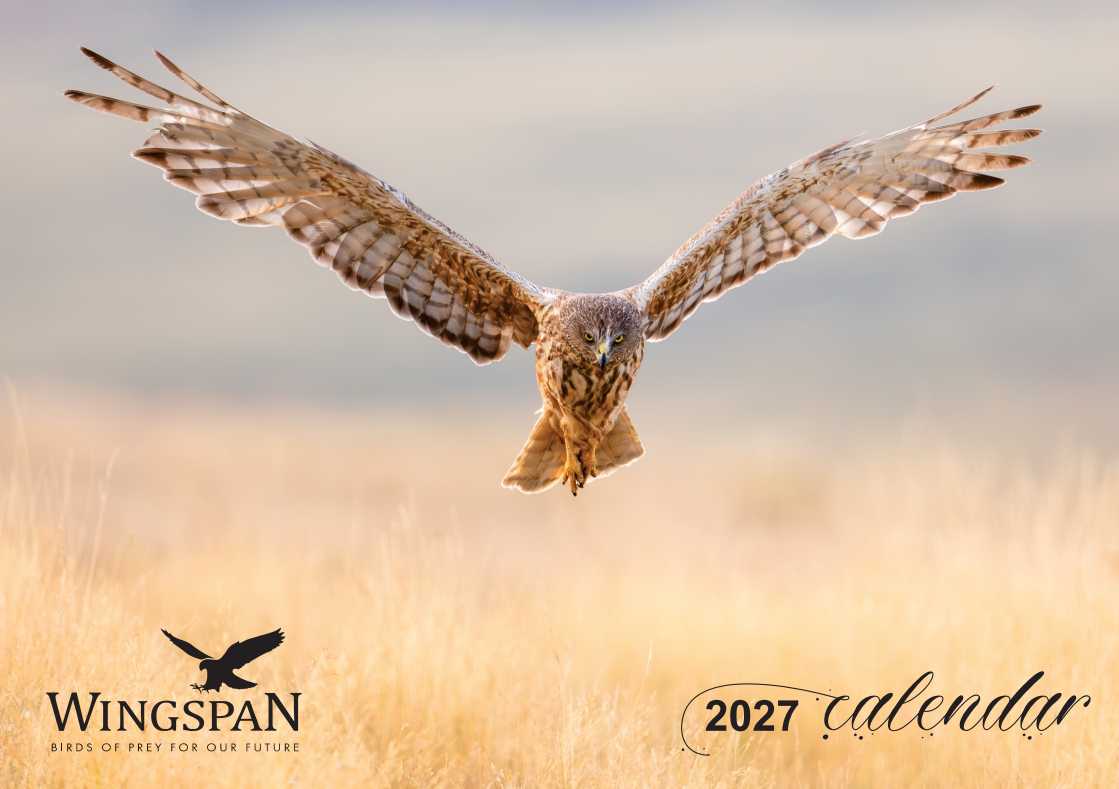 Wingspan Calendar 2027