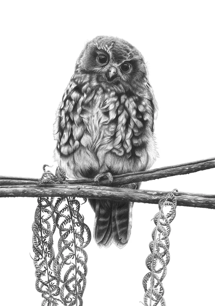 Hannah Shand Print - Fluffy Fledgling
