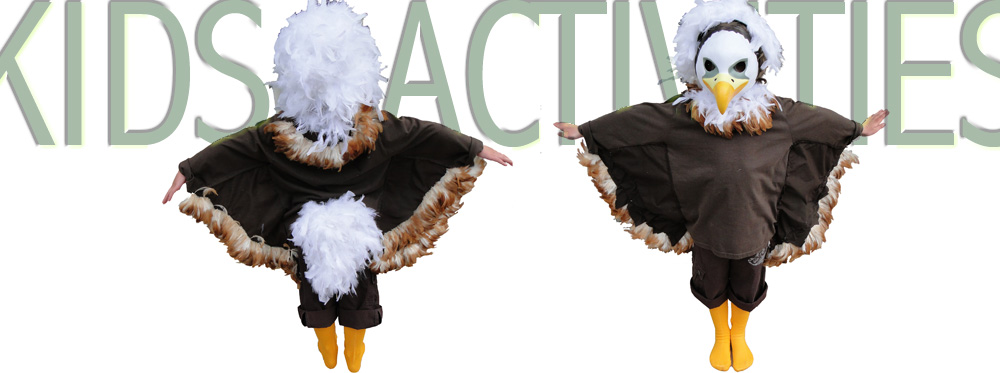 morepork and falcon kids activities