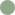 wingspan dot