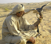Middle East Falconry