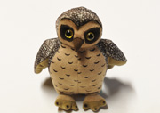 Zoe the morepork