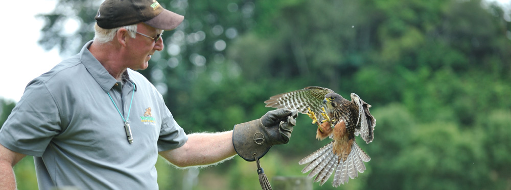 Noel Hyde Wingspan chairman