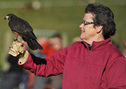 Wingspan senior admission voucher