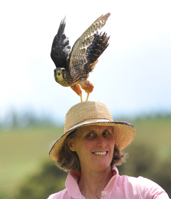 Adult Wingspan admission voucher