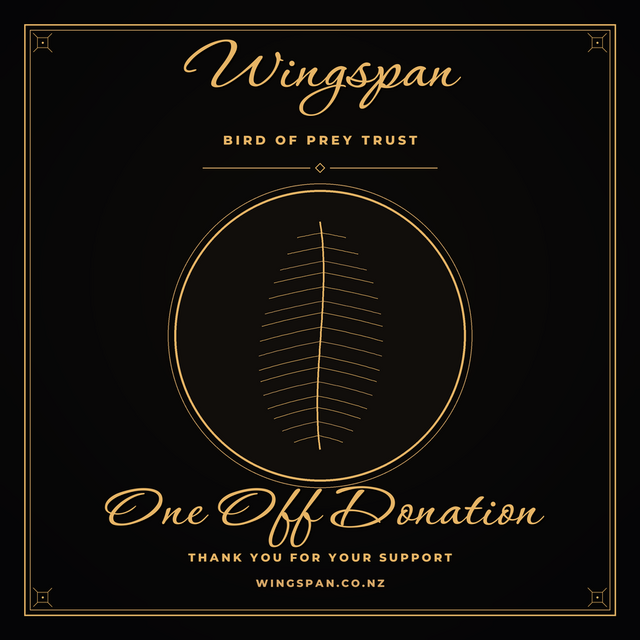 Sponsorship & Donations | Wingspan NZ