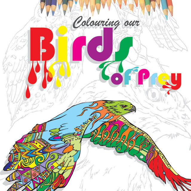 Gifts For Kids | Wingspan NZ