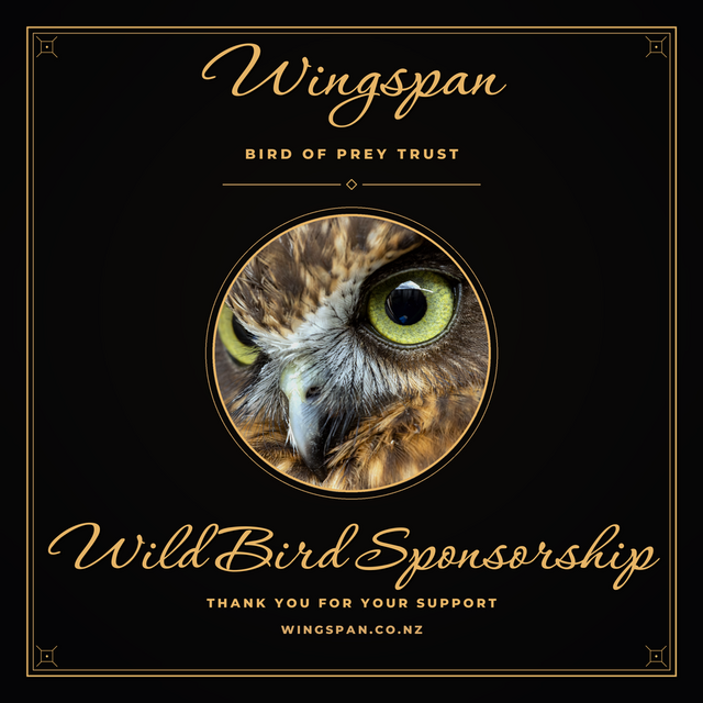 Wild Bird Sponsorship
