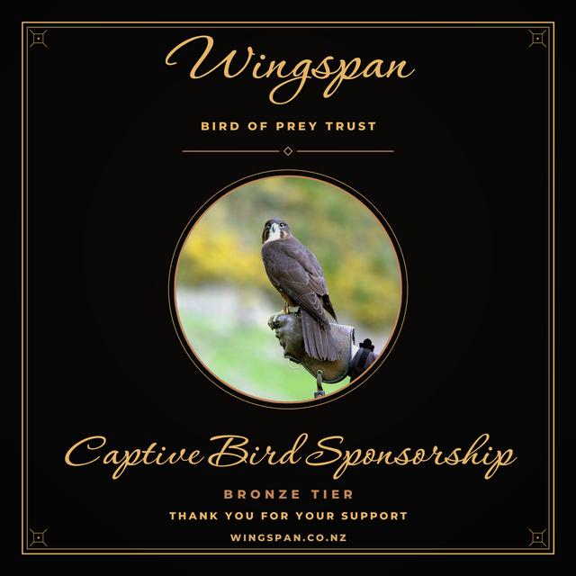 Captive Bird Sponsorship, Bronze