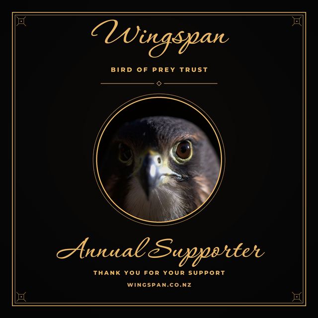 Annual Supporter