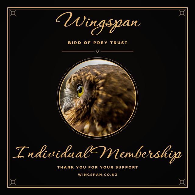 Individual Membership
