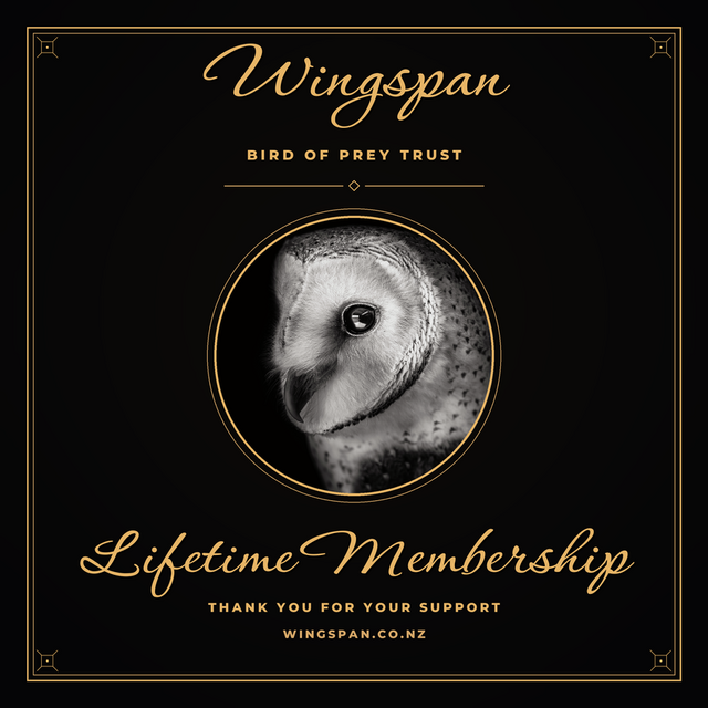Lifetime Membership