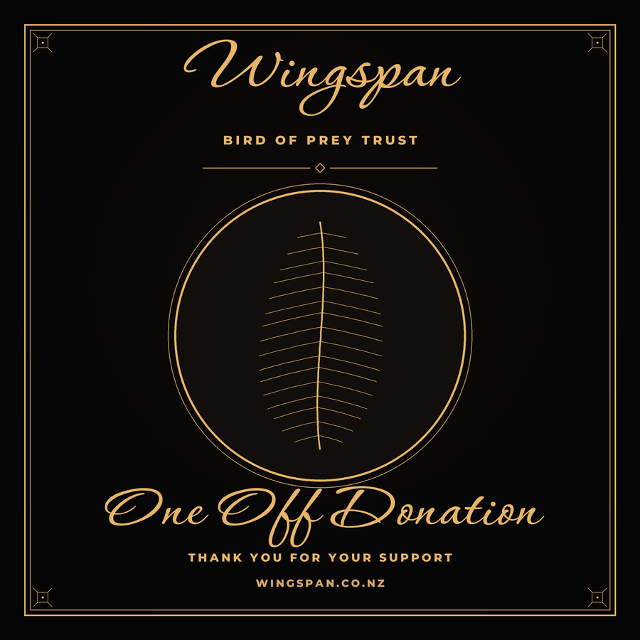 Sponsorship & Donations | Wingspan NZ
