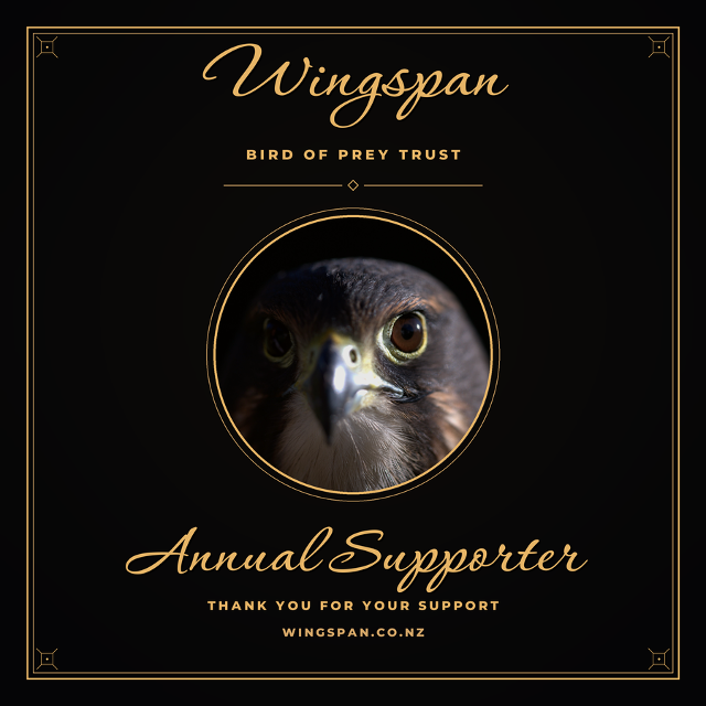 Annual Supporter