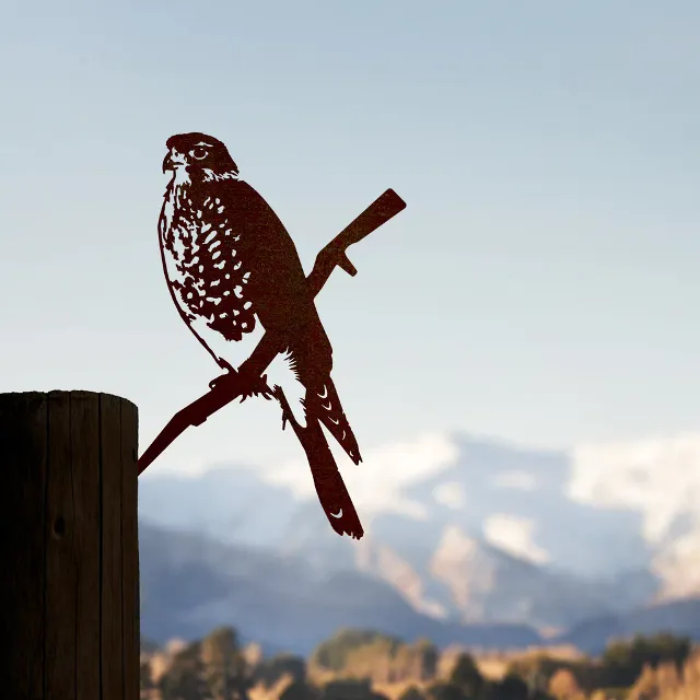 Metalbird Kārearea